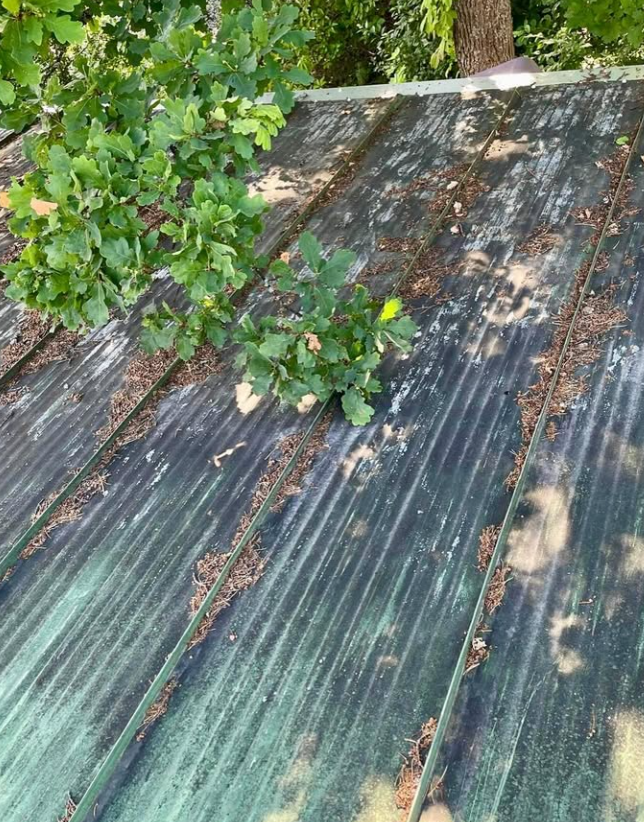 Peltikaton elvytys ennen huoltoa